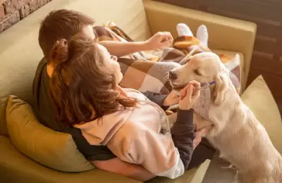 Keeping Your Dog Active in a Small Apartment: Exercises, Walks, and Interactive Games