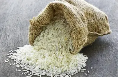 How to Plant Rice? (VIDEO)