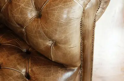Removing Fish Stains from Leather Sofas