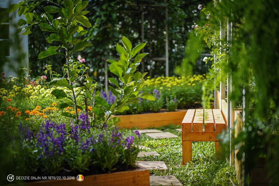 Transform Your Garden into a Relaxation Oasis