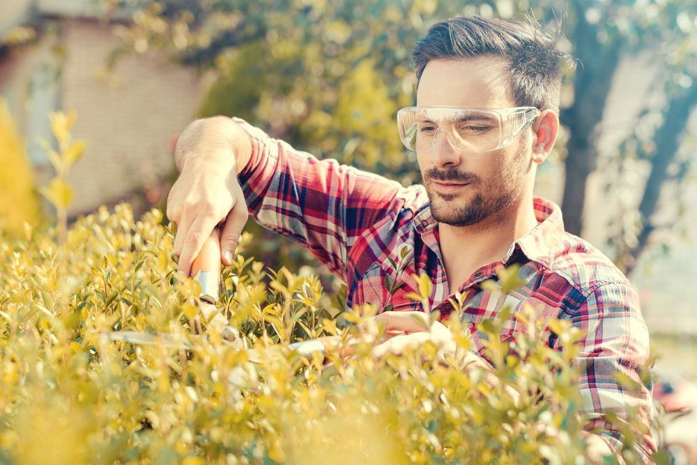 5 Types of Tools Every Homeowner Should Always Have on Hand