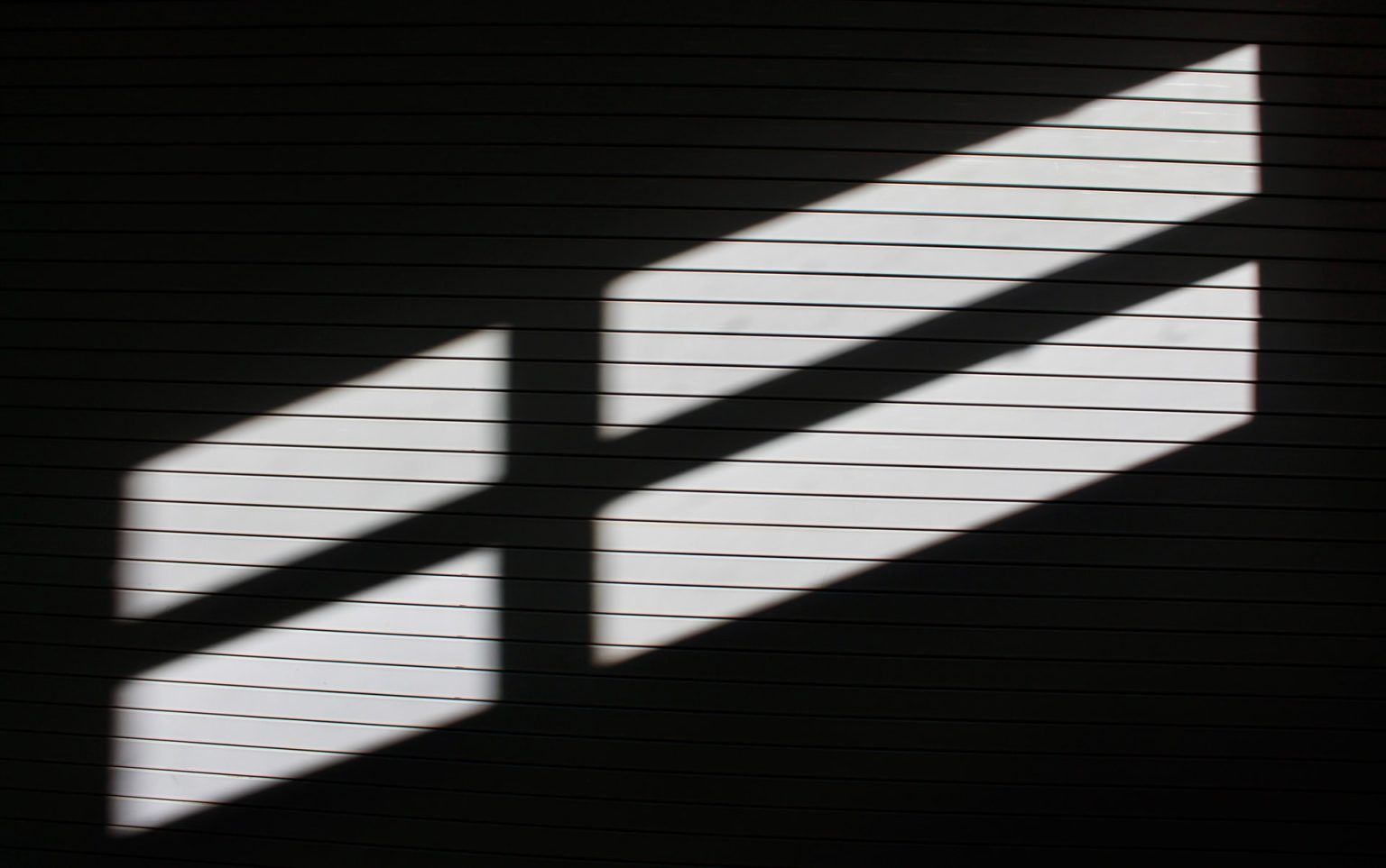 Roller Blinds: Why Choose Them? A Practical Guide