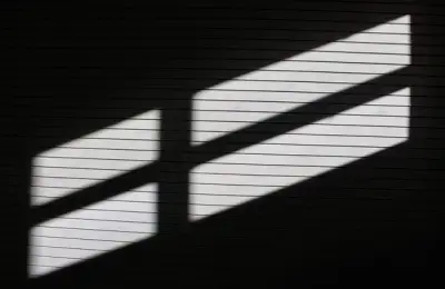 Roller Blinds: Why Choose Them? A Practical Guide