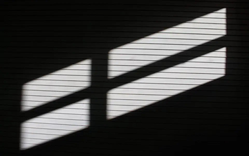Roller Blinds: Why Choose Them? A Practical Guide