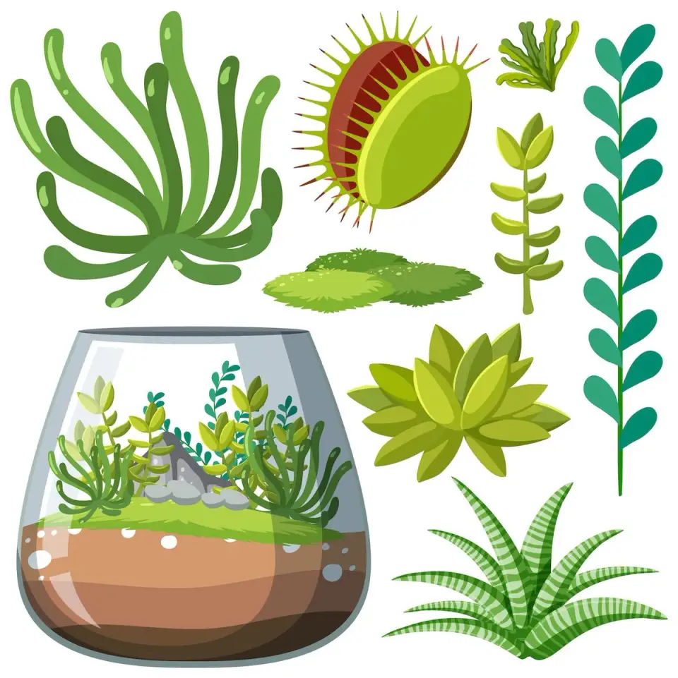Cum să construiești un mini-ecosistem cu plante acvatice – Ghid pentru amenajarea unui mini-acvariu cu plante acvatice