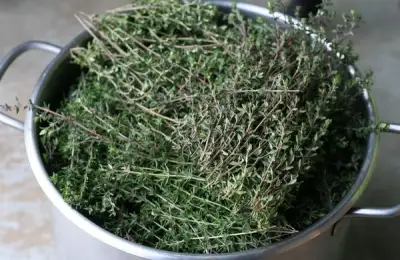 Cimbrul - Flavor and Aroma for the Kitchen
