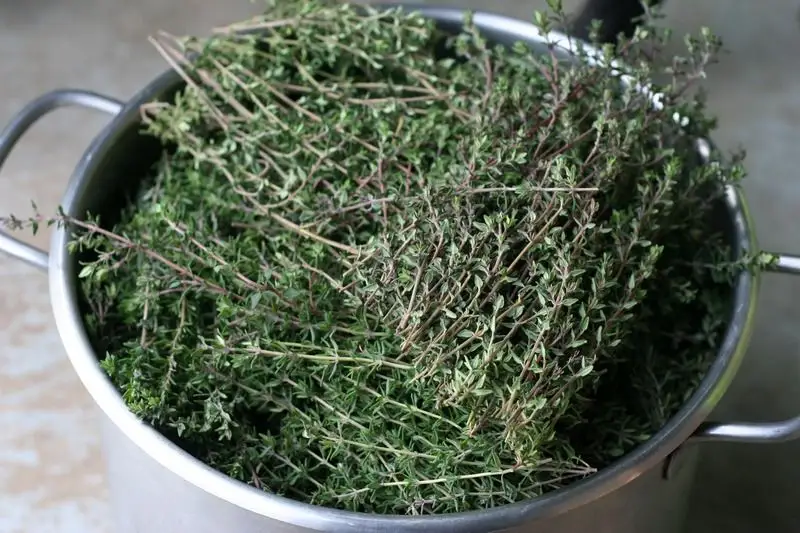 Cimbrul - Flavor and Aroma for the Kitchen