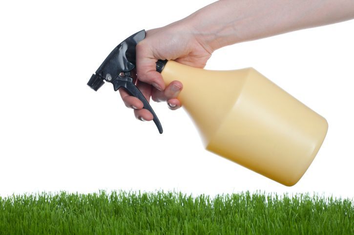 How to Keep Pests Away from Your Home