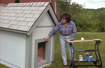 How to Build a Dog House