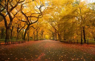 Get Inspired by the Most Beautiful Natural Landscapes in the World!