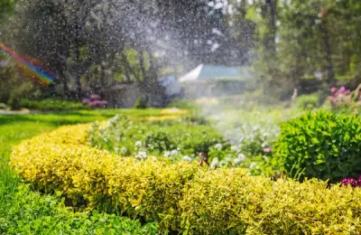 5 Summer Landscaping Projects for Your Garden