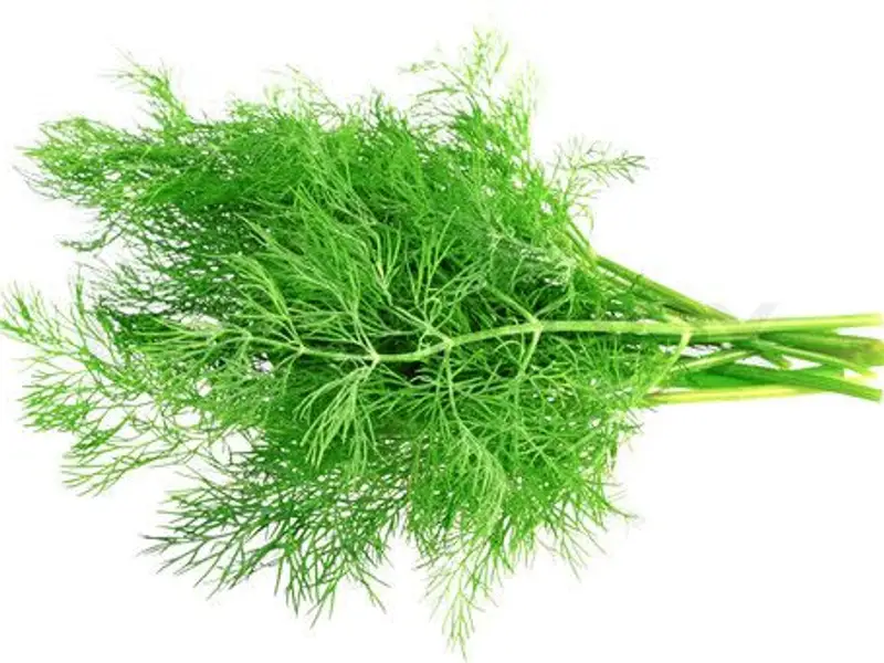 Mararul un condiment indispensabil in bucatarie