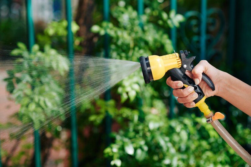 Cum să alegi cea mai bună stropitoare electrică pentru grădina ta