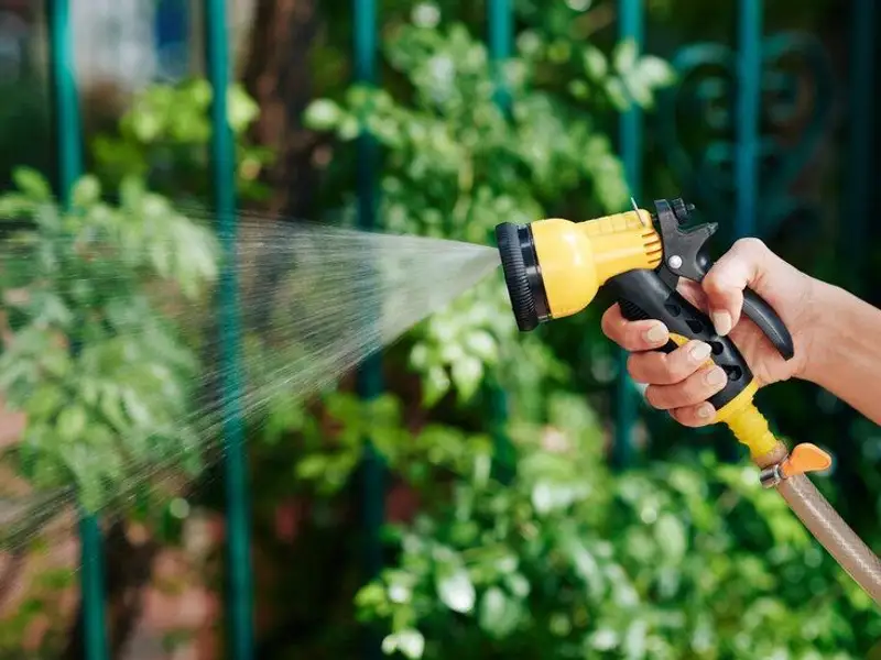 Cum să alegi cea mai bună stropitoare electrică pentru grădina ta