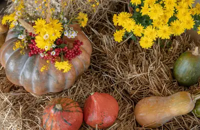 Turning Your Autumn Garden into a Colorful Oasis