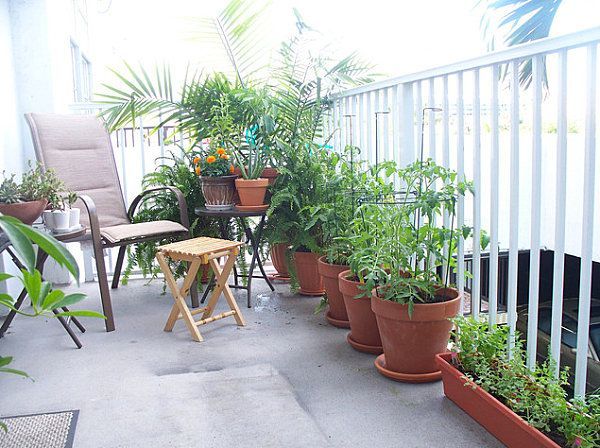 Cum sa iti faci gradina in balcon