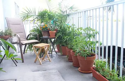 Creating a Balcony Garden