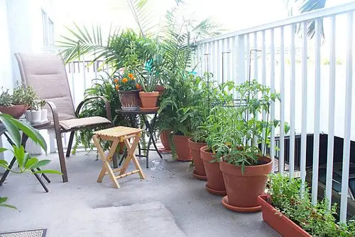 Cum sa iti faci gradina in balcon