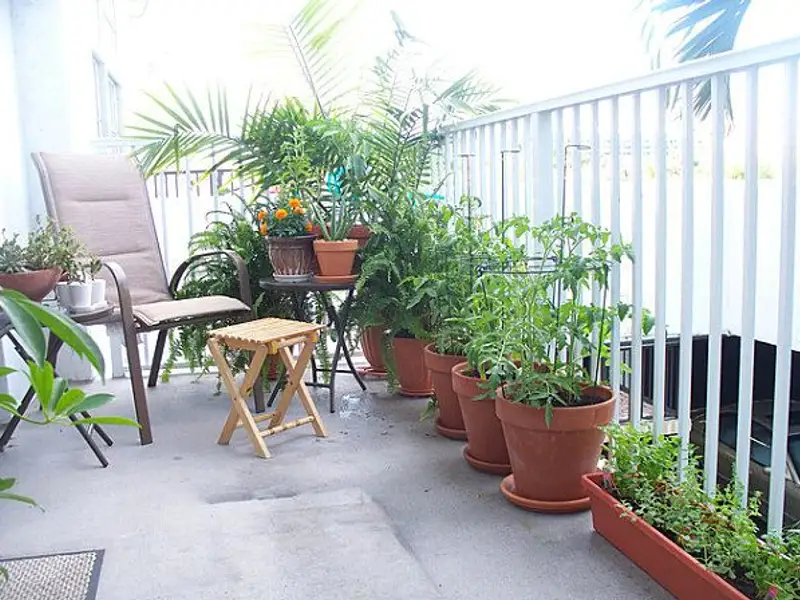 Cum sa iti faci gradina in balcon