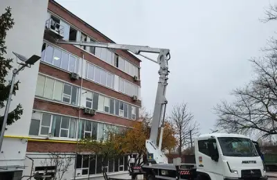 Toaletarea copacilor din curte fără riscuri: când merită o nacelă în loc de alpinist utilitar