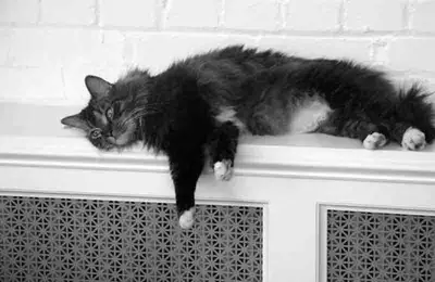 Masks: The Solution for Integrating Radiators into Decor