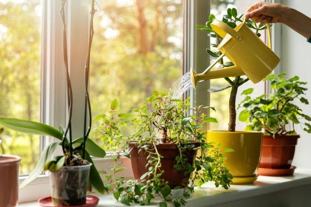Idei pentru un decor natural și relaxant în casa ta