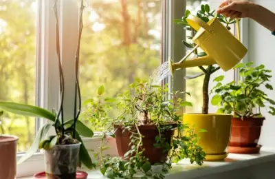 Ideas for a Natural and Relaxing Decor in Your Home
