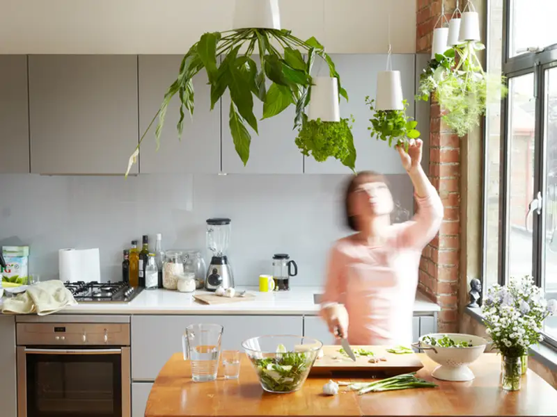 Sky Planter Noul concept de ghiveci cu verdele-n jos