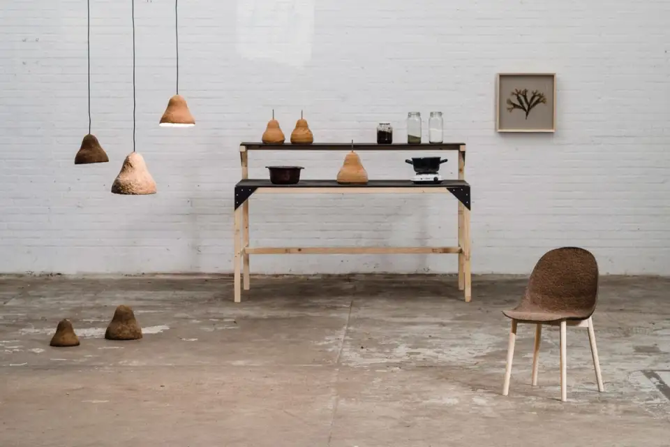 Marine Algae Furniture Pieces