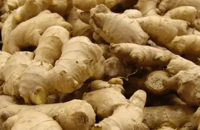 Tutorial: How to Plant Ginger (VIDEO)
