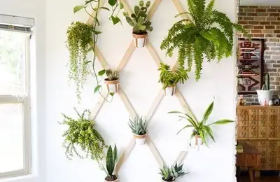 Creating Your Own Vertical Green Oasis at Home