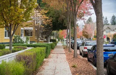The Most Annoying Noises Neighbors Can Make and How to Get Rid of Them