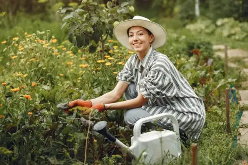 Plante ideale pentru o grădină cu întreținere redusă