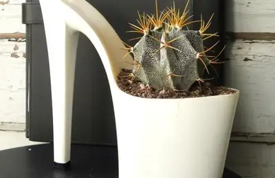 Cheerful Pots for Your Windowsill