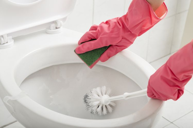How Often Should You Change Your Toilet Brush?