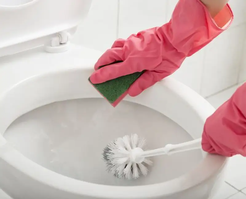 How Often Should You Change Your Toilet Brush?