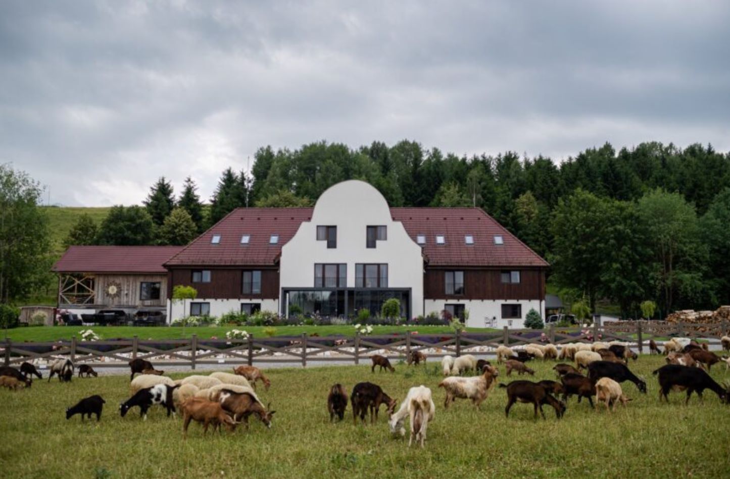 Timian Chalet, premiat la TopHotel Awards 2025