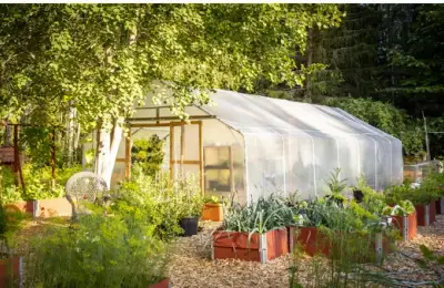 Spring Greenhouse Types in a Garden
