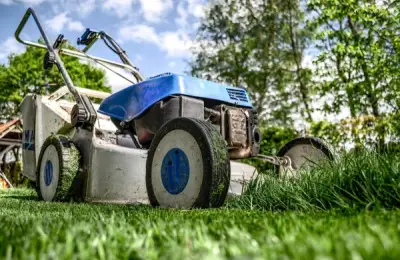 How to Mow Your Lawn Correctly