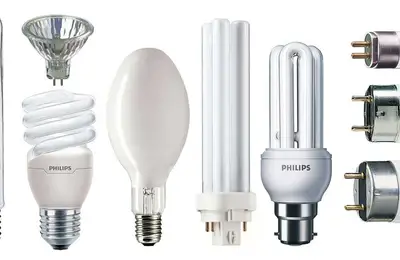 Choose the Right Bulb in 5 Steps