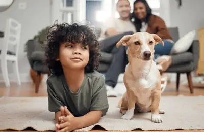 Preparing Your Home for a Dog