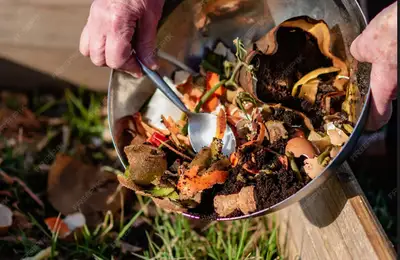 Compost: Vegetable Waste Can Become Natural Fertilizer for Plants