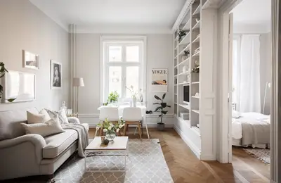 Elegant Decor in a 43 sq m Apartment