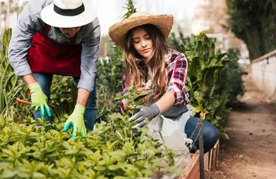 Protecting Your Garden from Pests Naturally: Ecological Methods and Natural Solutions for Preventing and Combating Garden Pests Without Chemicals
