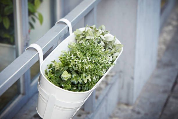 Cele mai potrivite jardiniere pentru balconul apartamentului