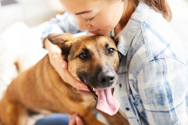 Beneficiile adoptării unui câine de la adăpost, cum să alegi un animal adoptabil și cum să-l integrezi în familie