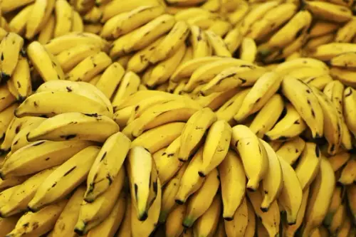 Cum cresc si cum se culeg bananele? (VIDEO)