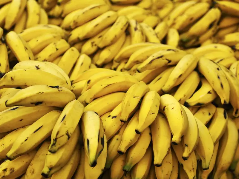 Cum cresc si cum se culeg bananele? (VIDEO)