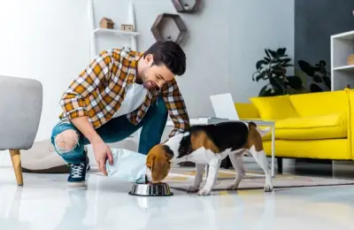 Premium, Super-Premium, and Ultra-Premium Dog Food: Features and Recommendations