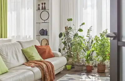 Nature's Inspiration in Designing a 3-Bedroom Apartment